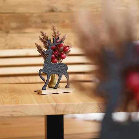 Stoagas Waidblick 3* Sankt Michael im Lungau